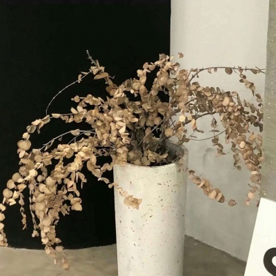 兽设线稿临摹素材兽圈群